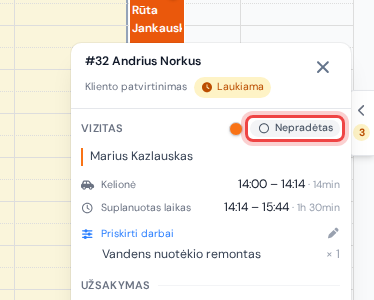 Vizito kortelė su paryškintu būsenos ženkliuku eilutėje „Vizitas“, šalia apvalaus spalvos taškelio
